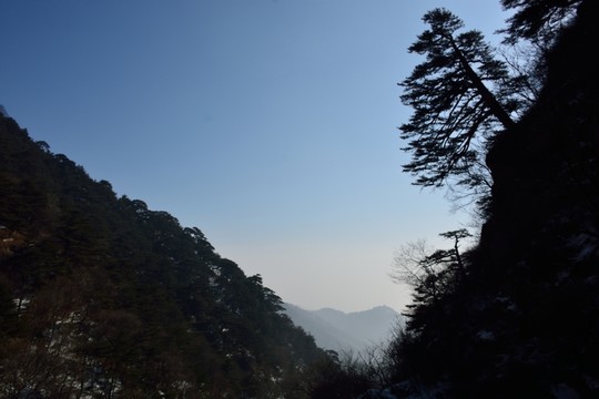 泰山