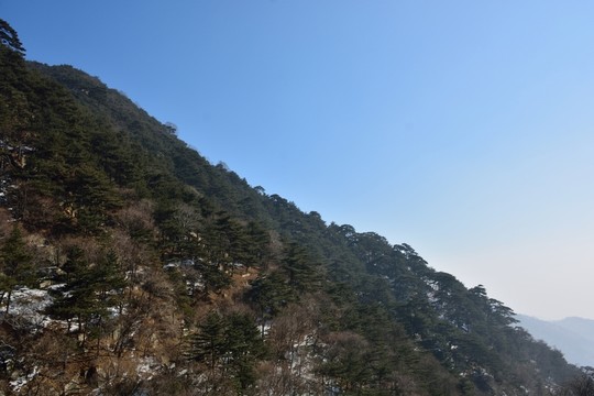 泰山