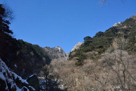 泰山