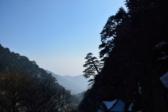 泰山