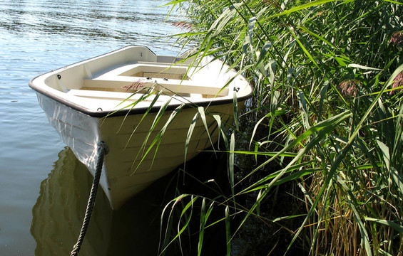 rowingboat