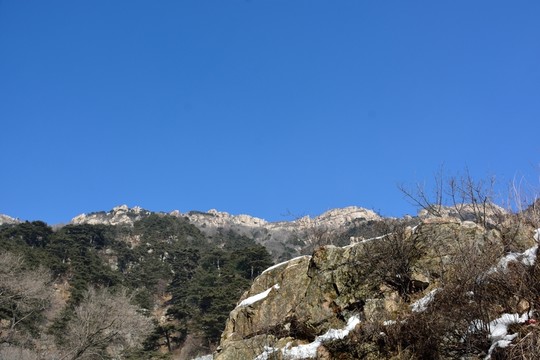 泰山