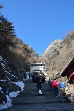 泰山