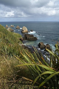 狂野海岸線