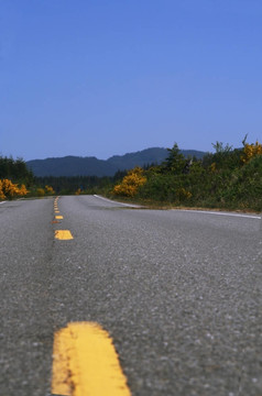 道路與天空