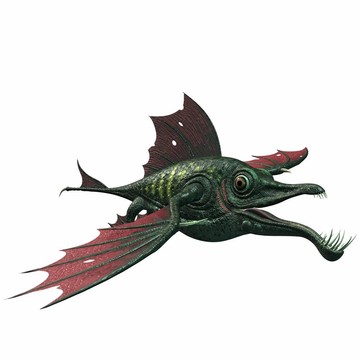 奇幻龍魚