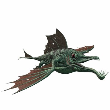 奇幻龍魚