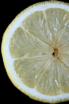 檸檬片