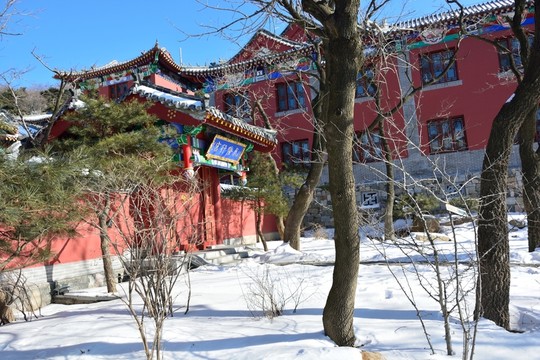 泰山冬天素材