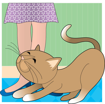 Cat Stretchig的鞋子