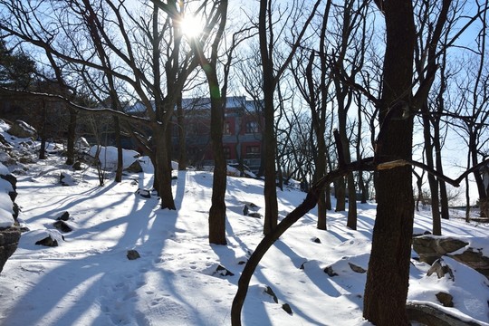 五岳泰山風光