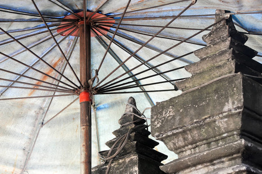 藍(lán)亞傘