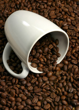 咖啡粒和咖啡杯