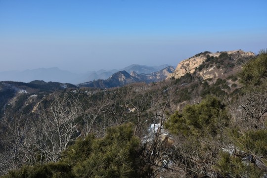 泰山