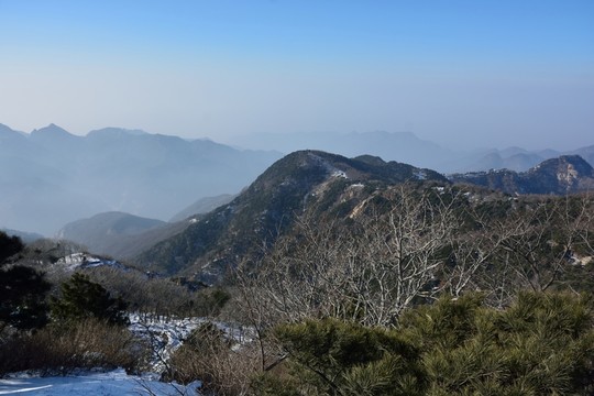 泰山