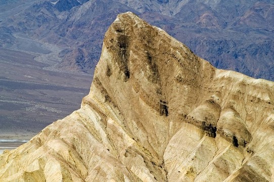 無限春光在險(xiǎn)峰