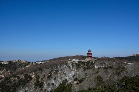 泰山