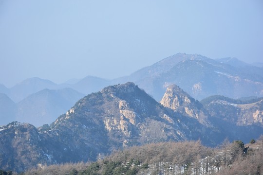 泰山