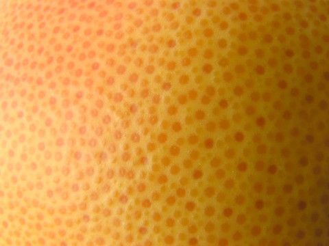 柚子皮。