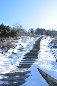 東岳泰山