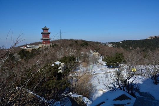 泰山