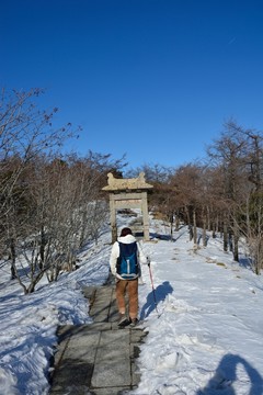 泰山