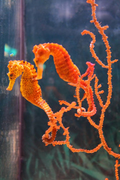 水族館