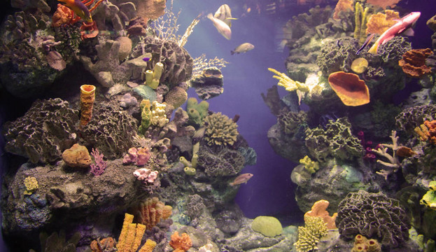 水族館