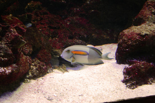 水族館