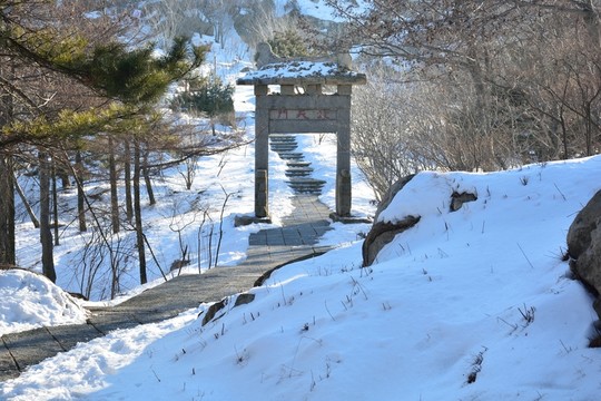 泰山雪景實(shí)拍