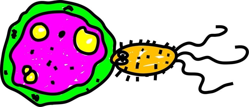 微生物