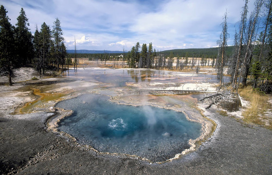 Yellowstone - 01