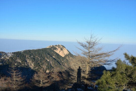 泰山雪景風(fēng)光