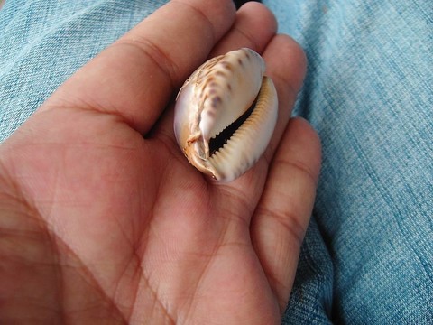 瑪瑙