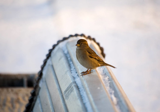 休息的時(shí)間