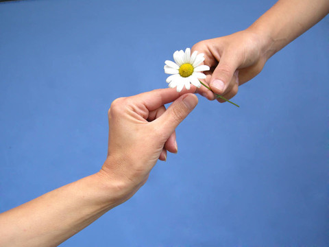 給了一個菊花