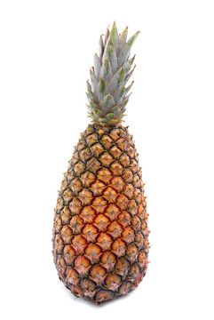 菠蘿