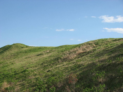 山