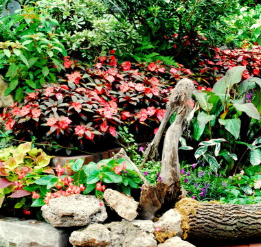 陽光明媚的花園