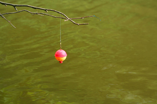 掛釣魚浮子