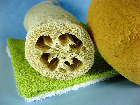 毛巾bathsponge絲瓜