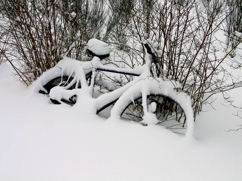 雪地里的自行車