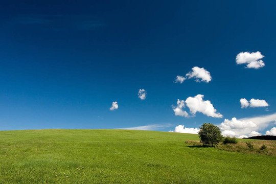 夏天的抽象風(fēng)景