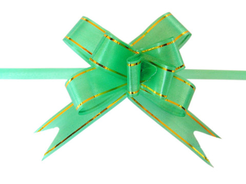 綠絲帶蝴蝶結(jié)