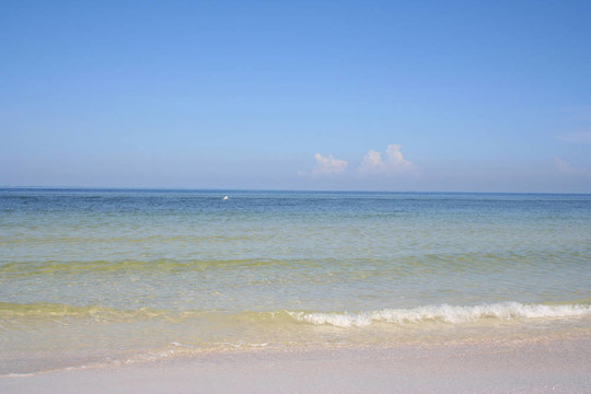 海