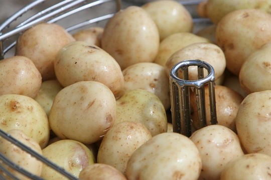 洗土豆在西點(diǎn)