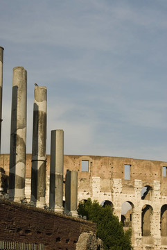 羅馬意大利collosseum