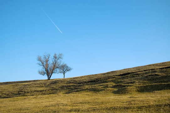 秋天的風(fēng)景。