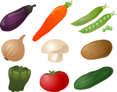 蔬菜的插圖