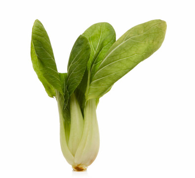 白菜